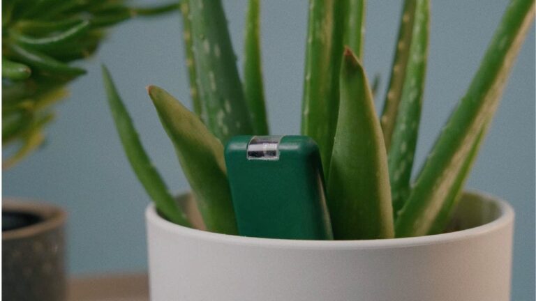 3 End houseplant heartbreak with this new high tech device