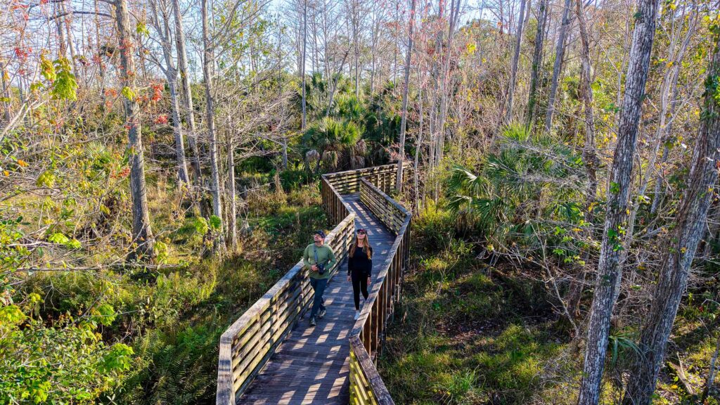 Hero Invisible disabilities South Florida Copy of NorthJupiterFlatwoods2 Photo Pbcerm