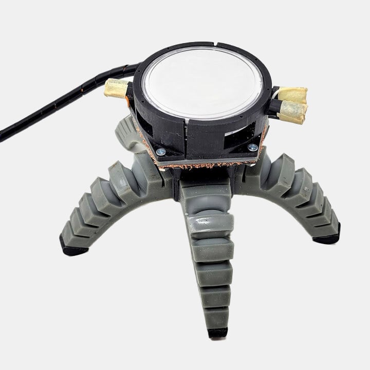 biohybrid robot mushroom