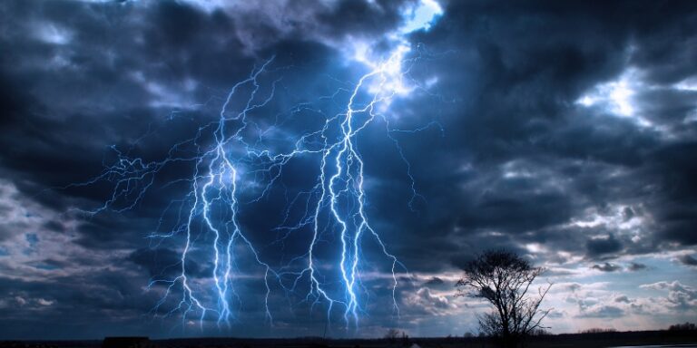 lightning tree design