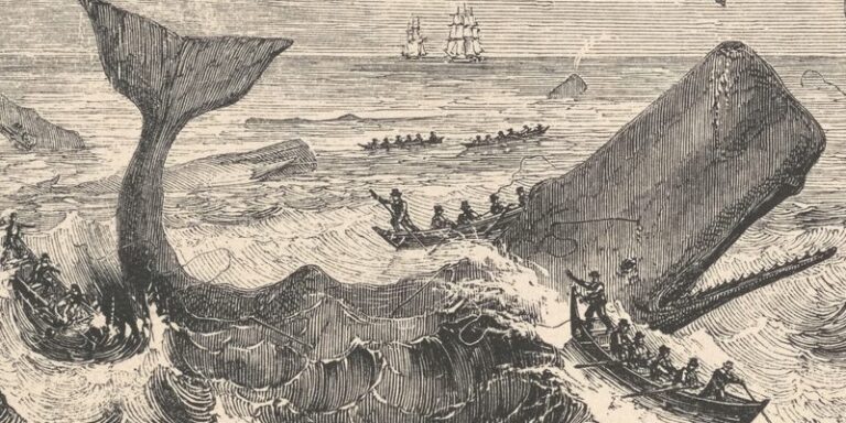 moby dick