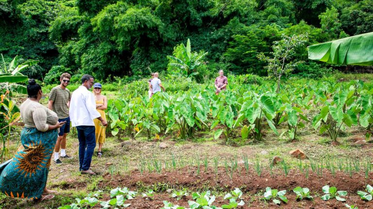 Hero Grenada smart islands Photo Chef Kennedy Roberts guiding guests through his garden Photo Home Hospitality Grenada